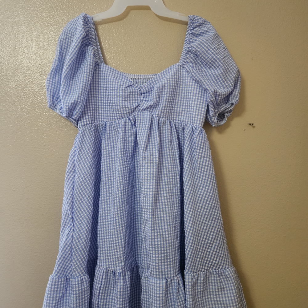 Blue Gingham Dress